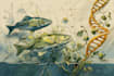 draw a scientific illustration