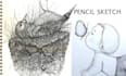 turn your photo into  a pencil sketch