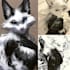 draw custom furry character art and anthro reference sheets