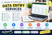 accurate data entry, excel data entry, copy paste and web research