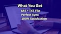 add professional srt subtitles with perfect timing