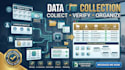 do web research, data collection and online research