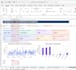 create a professional excel financial dashboard