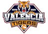 design outstanding tiger logo