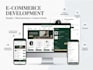 do professional full stack web development
