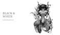 create custom stylized character illustrations