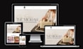 build a professional responsive ecommerce website