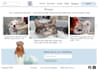 create a custom website