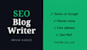 write SEO blog posts and website content that rank and convert