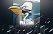 create a unique pelican mascot logo design