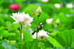 provide highquality video editing services