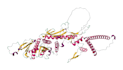 analyze genomic data, variant interpretation, and classification, writing