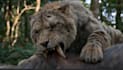 do 3d animal animation, animal rig, 3d cgi animal model texture 3d creature vfx