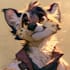 create a high quality anthro character in my unique style