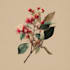 illustrate best botanical illustration and art