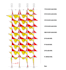 provide rcc structural design, detailing, and drawings using etabs, safe