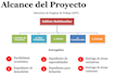 provide project management, ms project schedules, and risk controls