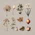 draw an unique botanical illustration