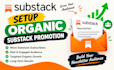 setup organic substack promotion substack subscribers substack newsletter