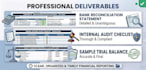 do bookkeeping, accounting and financial data entry