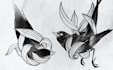 draw custom pet portrait in black tattoo style