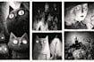 draw black and white illustrations