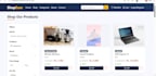 develop a responsive website using html css aspnet
