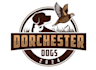 design professional pet logo