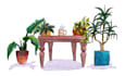 paint watercolor spot illustrations for your substack or newsletter