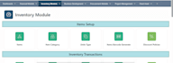 develop, customize and fix oracle apex applications
