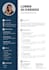 create a professional ats friendly CV resume