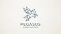 create modern awesome pegasus logo just 12 hrs
