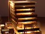create professional architectural drawings in revit