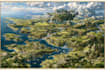 draw map illustration map design fantasy map illustration