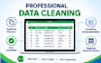 do professional data cleaning, and excel data cleanup