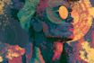 create bending psychedelic art with surreal trippy visuals