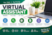be your reliable virtual assistant for data entry and web research