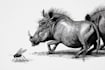 draw a pen and ink illustrations