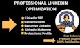 provide professional linkedin optimization service