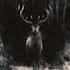 draw dark art animal illustration