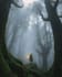 fantasy book cover design