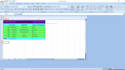 doaccurate excel data entry and copy paste work per page