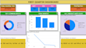create professional excel charts, graphs and data visualization