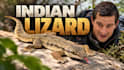 create scroll stopping youtube thumbnails