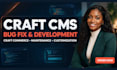 fix bugs and develop your craft cms or craft commerce website