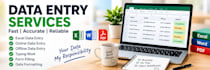 do data entry and copy paste tasks