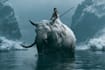 make amazing realistic photo manipulation