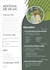 design modern uiux layouts, resume design