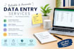 data cleaning and data entry