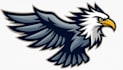 do make new style eagle ridge mascot logo design
